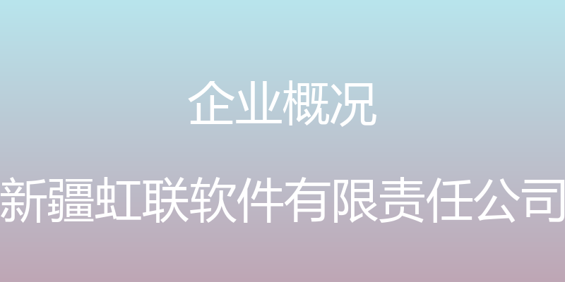 企业概况 - 新疆虹联软件有限责任公司